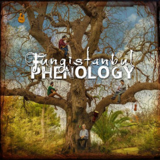 Phenology