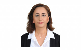 Nermin Çelikay