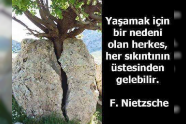 05 Temmuz 2025