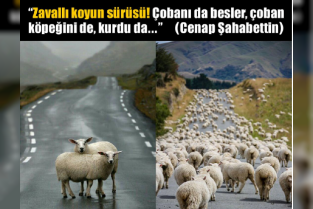 07 Haziran 2025