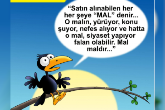 17 Ağustos 2025
