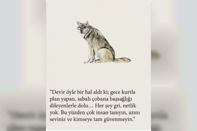 17 Temmuz 2025