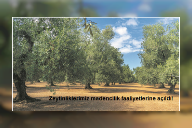 20 Temmuz 2025