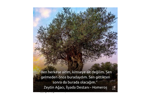29 Eylül 2025