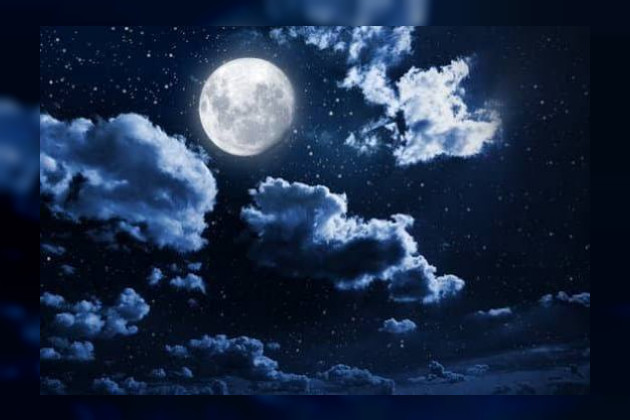 Bu Gece