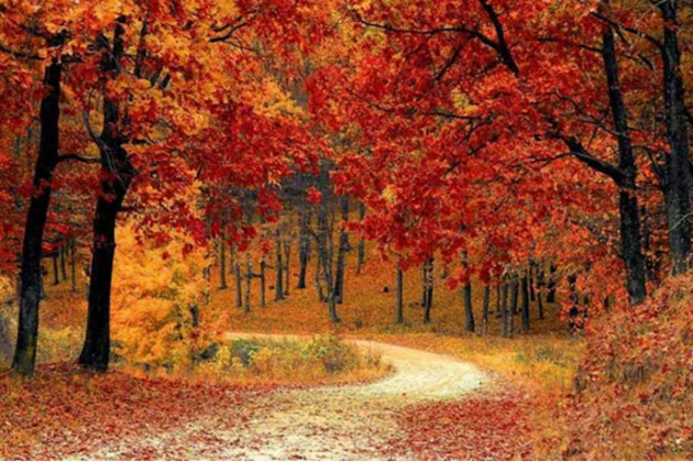 Güzel Düşler Sokağı