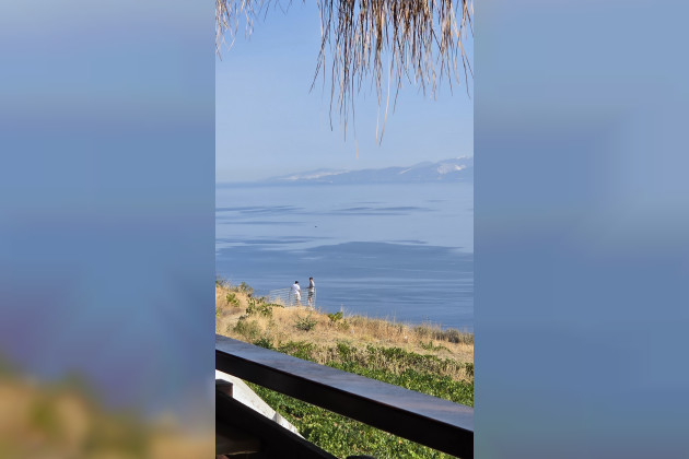 Hayat Ağacı Kütüphanesi