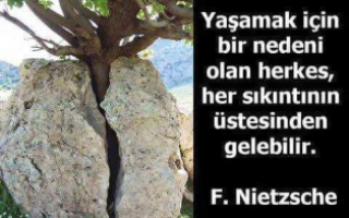05 Temmuz 2025