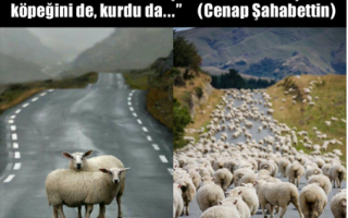 07 Haziran 2025