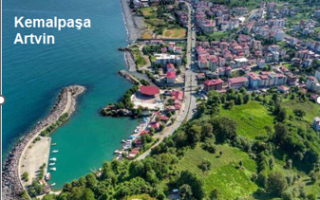11 Ağustos 2025