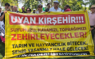 12 Ağustos 2025