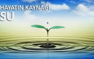 14 Eylül 2026