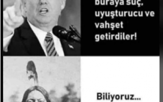 16 Mart 2025