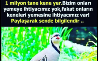 20 Nisan 2025