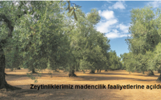 20 Temmuz 2025
