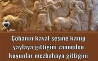 21 Mayıs 2025