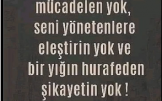 27 Ağustos 2026