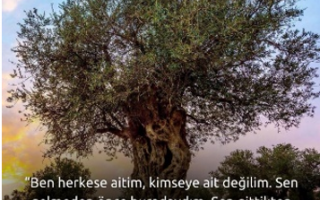 29 Eylül 2025