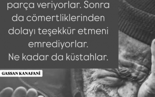 94 Mayıs 2025