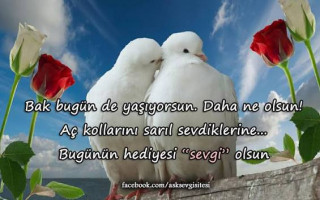 AŞKIN DİZELERİ DEVAMI