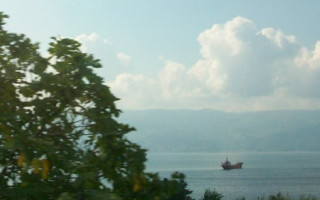 Elimi Tut
