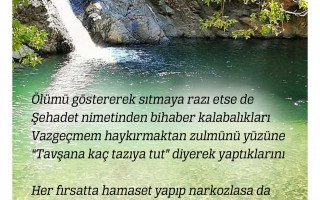 Hamaset