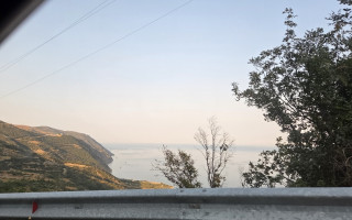 Hayata ağacı Kütüphanesi