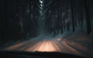 Kar Taneleri Düşerken