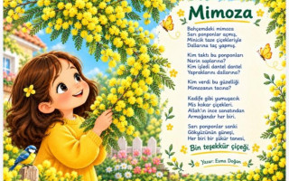 Mimoza