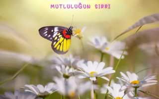 Mutluluğun Sırrı