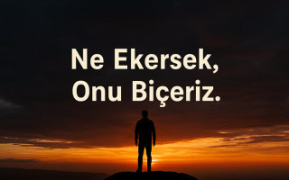 Ne Ekersek, Onu Biçeriz: Toplumsal Gidişat Üzerine 7 Soruluk Bir Yüzleşme