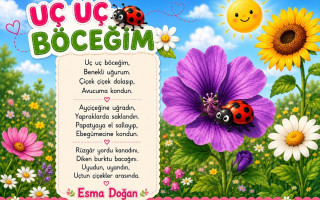 Uç Uç Böceğim