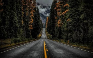 Yol..