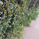 Sıradan bir insan Sıradan bir insan