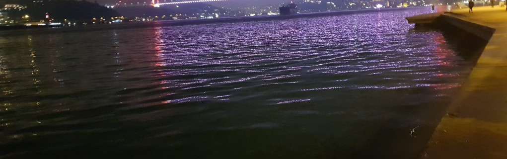 VEYSEL MURAT OZYAVUZ