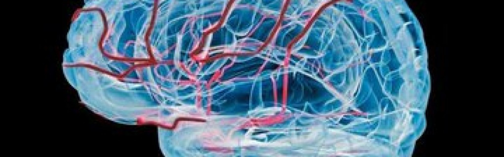 Adem Şahinkaya Adem Şahinkaya