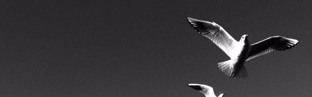 Esmanur Kadak Esmanur Kadak