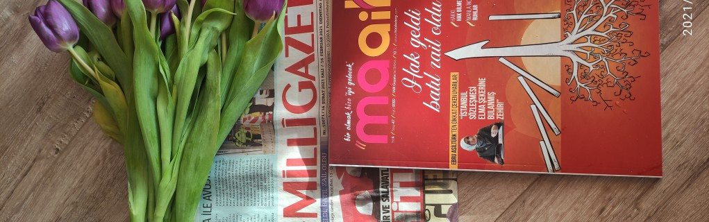 Safiye Gül Safiye Gül