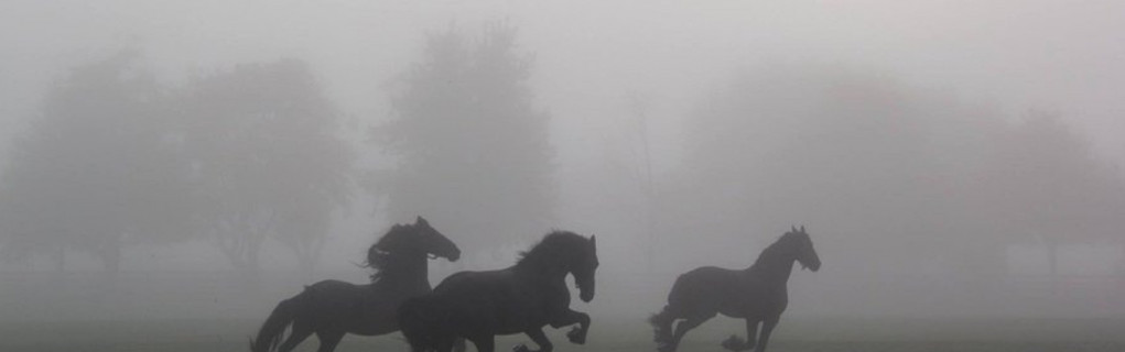 Kasabadaki Yabancı Kasabadaki Yabancı