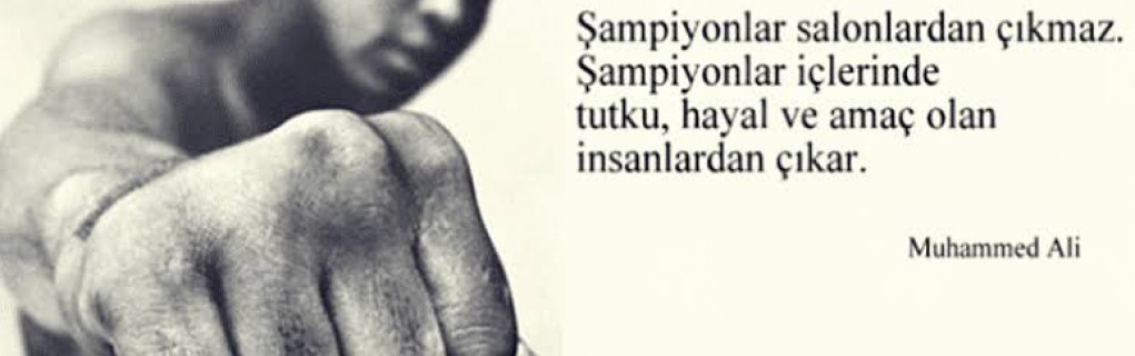 Mehmet Ertan Mehmet Ertan