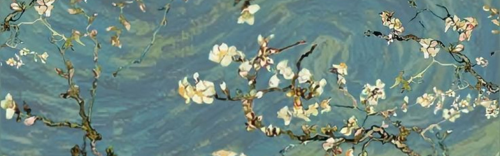 Seher aras
