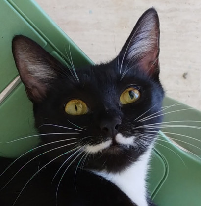 Gülgün Tuna Gülgün Tuna