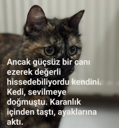 Gülgün Tuna Gülgün Tuna