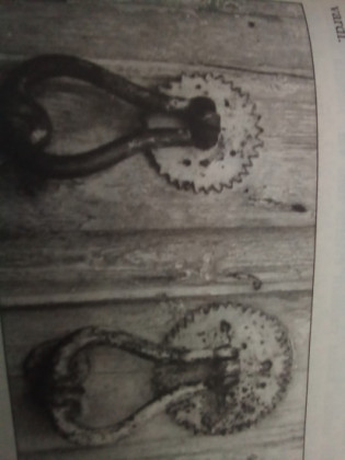 Cafer Muhammed KARAMAN