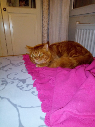 Kadir TEPE Kadir TEPE