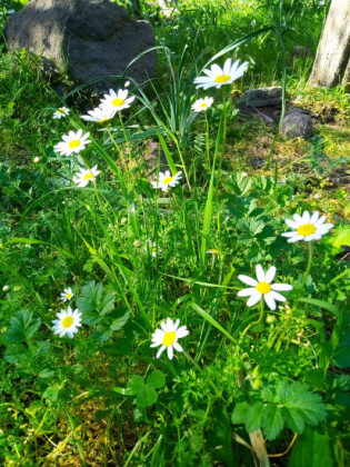 Kadir TEPE Kadir TEPE