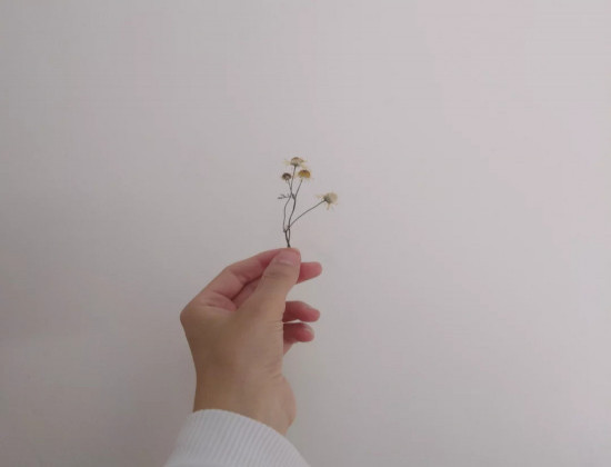 Sümeyye Ergin Sümeyye Ergin