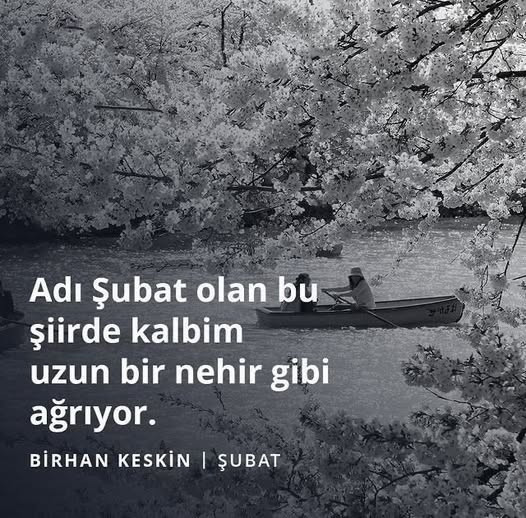 Sena Sabcıoğlu Sena Sabcıoğlu