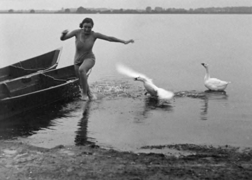 Bilge Ertürk Bilge Ertürk