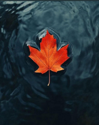 Bilge Ertürk Bilge Ertürk